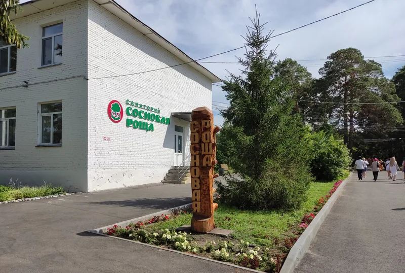 Курганская область: фото направления